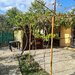 Comuna Garbovi, Judetul Ialomita, casa locuibila.